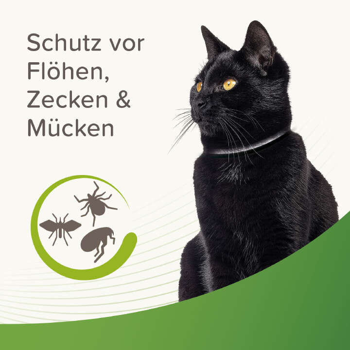 beaphar Zecken- und Flohschutzhalsband Katzen